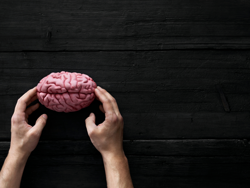 Raise Your Spirit does the brain ever stop growing?